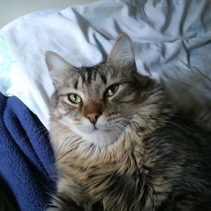 Meet your Posher, Lynne